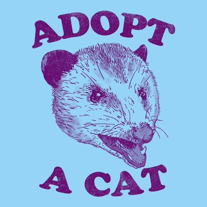 3/4 Sleeve Raglan 'Adopt a Cat' T-Shirt