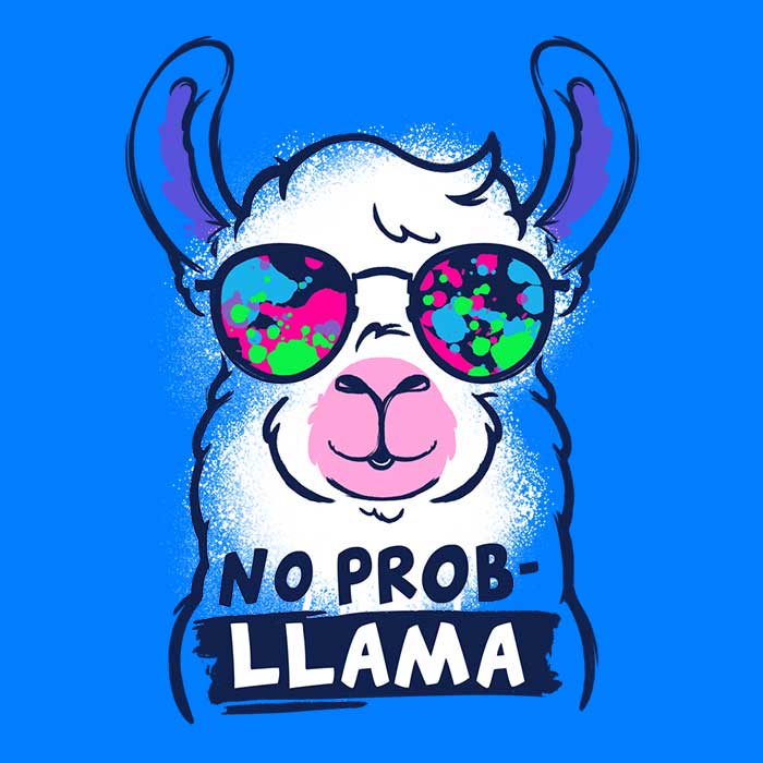 NemiMakeIt's No Probllama 3/4 Sleeve Stylish Raglan T-Shirt