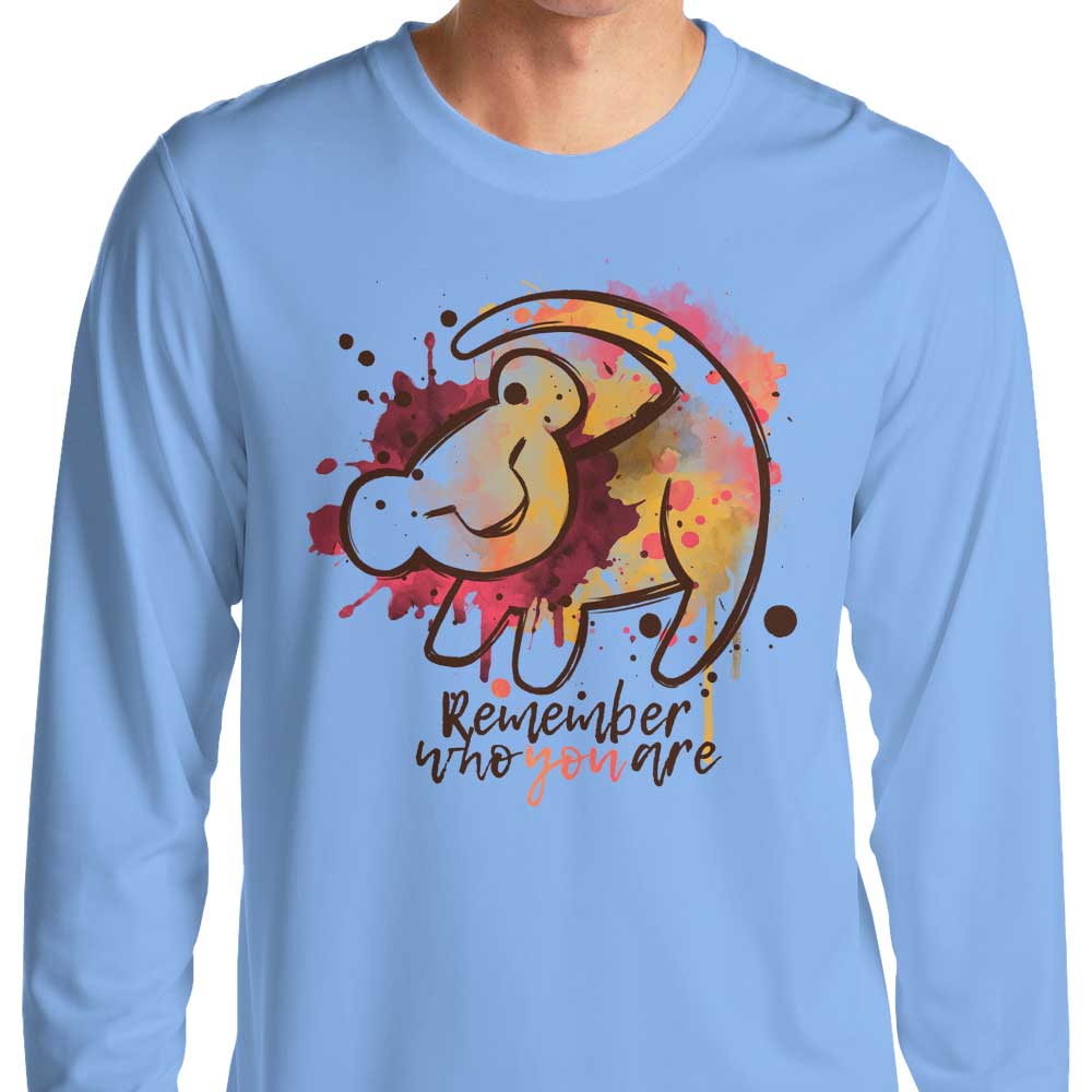 Inspirational 'Remember Who You Are' Long Sleeve Cotton T-Shirt for Everyday Wear